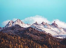 世界杯客户端-米克·舒马赫“习惯”第二年爆发 平常心对待F1首秀