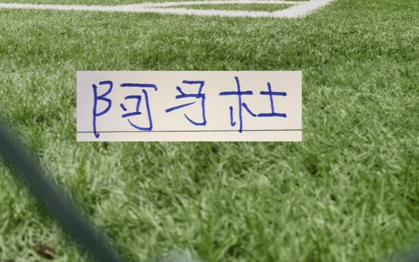 世界杯客户端-第一轮外援中场大腿 没想到前申花外援阿马杜回春了！